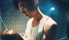 仙人掌旅馆在线观看,揭秘仙人掌旅馆的奇幻之旅